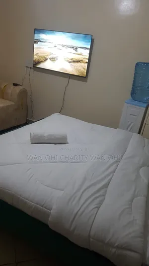 Studio Airbnb in South B Sanasana