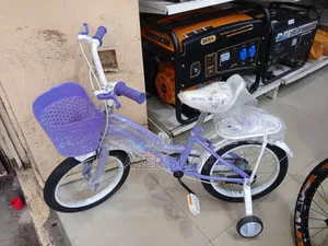 Purple Kids Bicycle 16