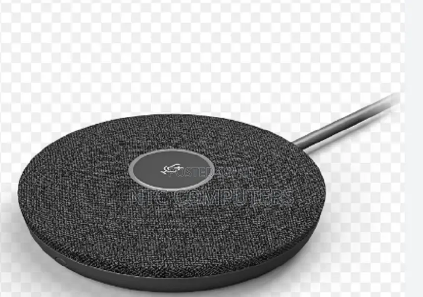 Logitech Rally Mic Pod - Graphite - 989-000430