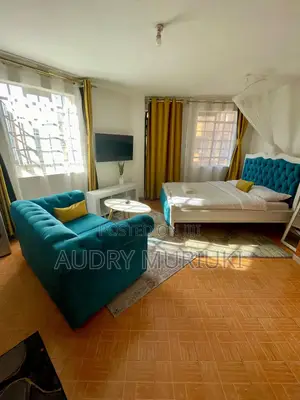 Luxurious Studio Along TRM Drive Roysambu Thika Road