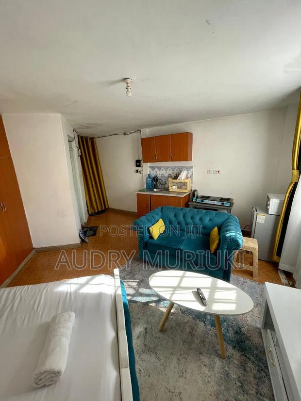 Luxurious Studio Along TRM Drive Roysambu Thika Road - thumbnail 3