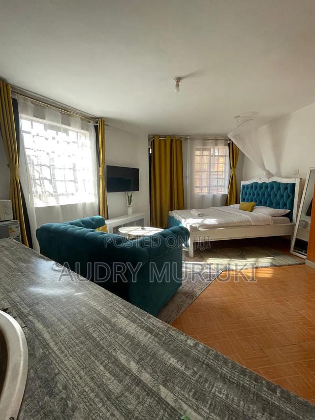 Luxurious Studio Along TRM Drive Roysambu Thika Road - thumbnail 4
