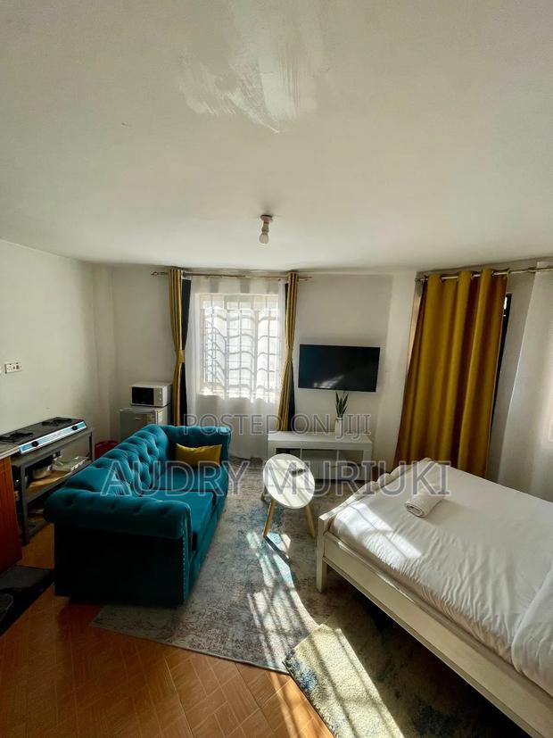 Luxurious Studio Along TRM Drive Roysambu Thika Road - thumbnail 5