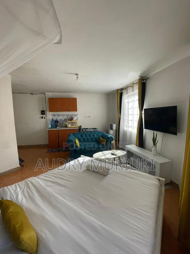 Luxurious Studio Along TRM Drive Roysambu Thika Road - thumbnail 6