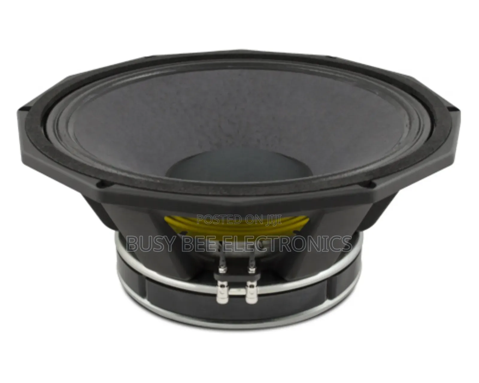 Naked Speaker RMW Pd1880,18 Inches