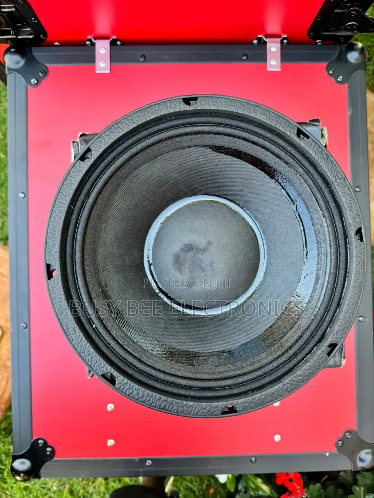 NR 12WF335 Naked Speaker
