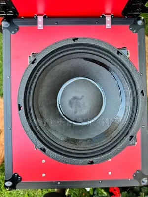 NR 12WF335 Naked Speaker