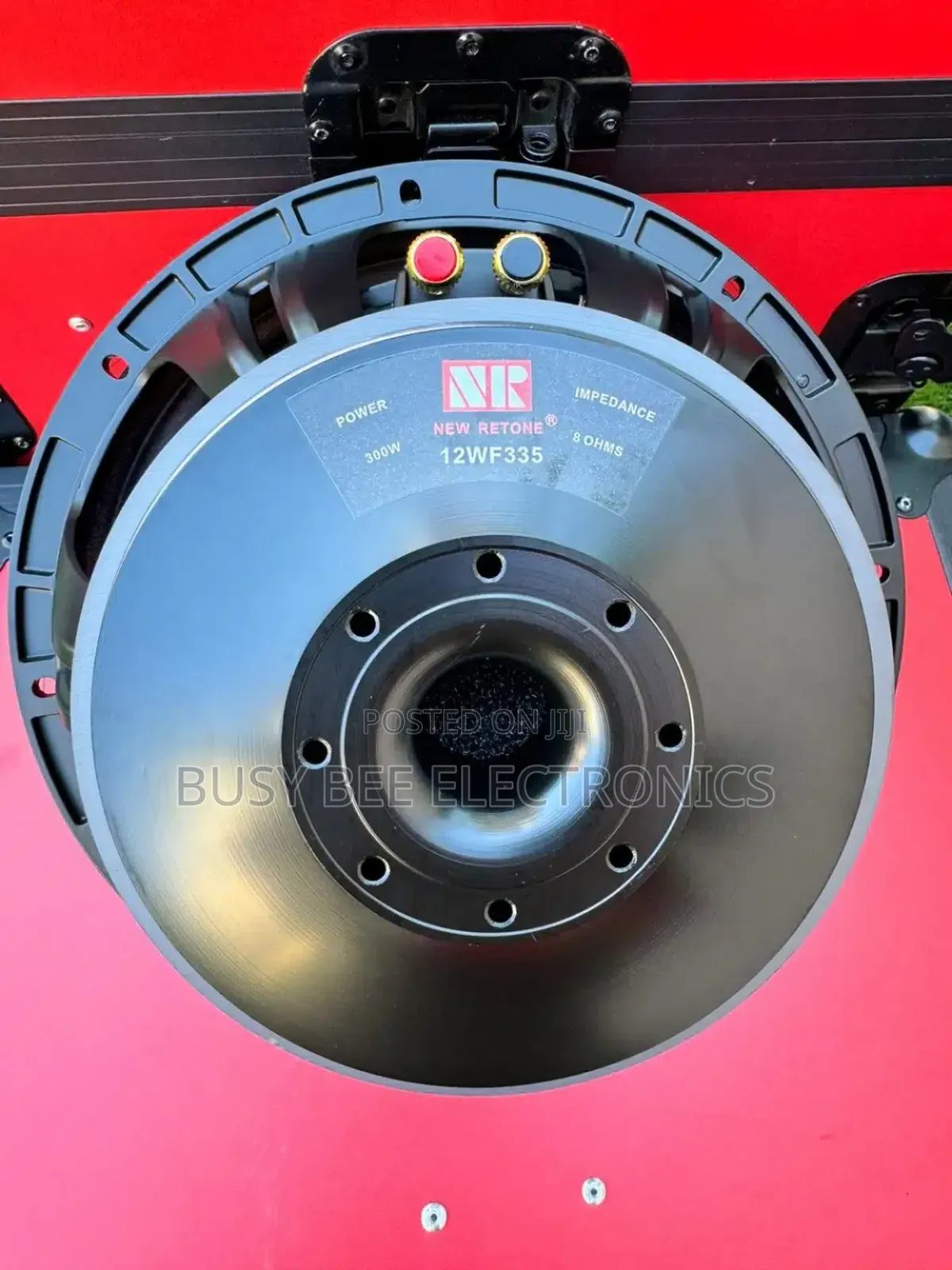 NR 12WF335 Naked Speaker
