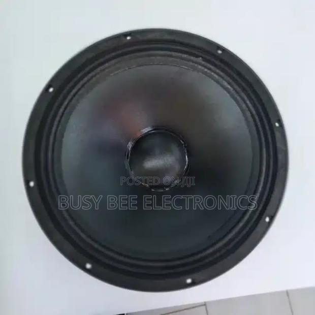 BM 15AZ16 Midrange Naked Speaker - thumbnail 4