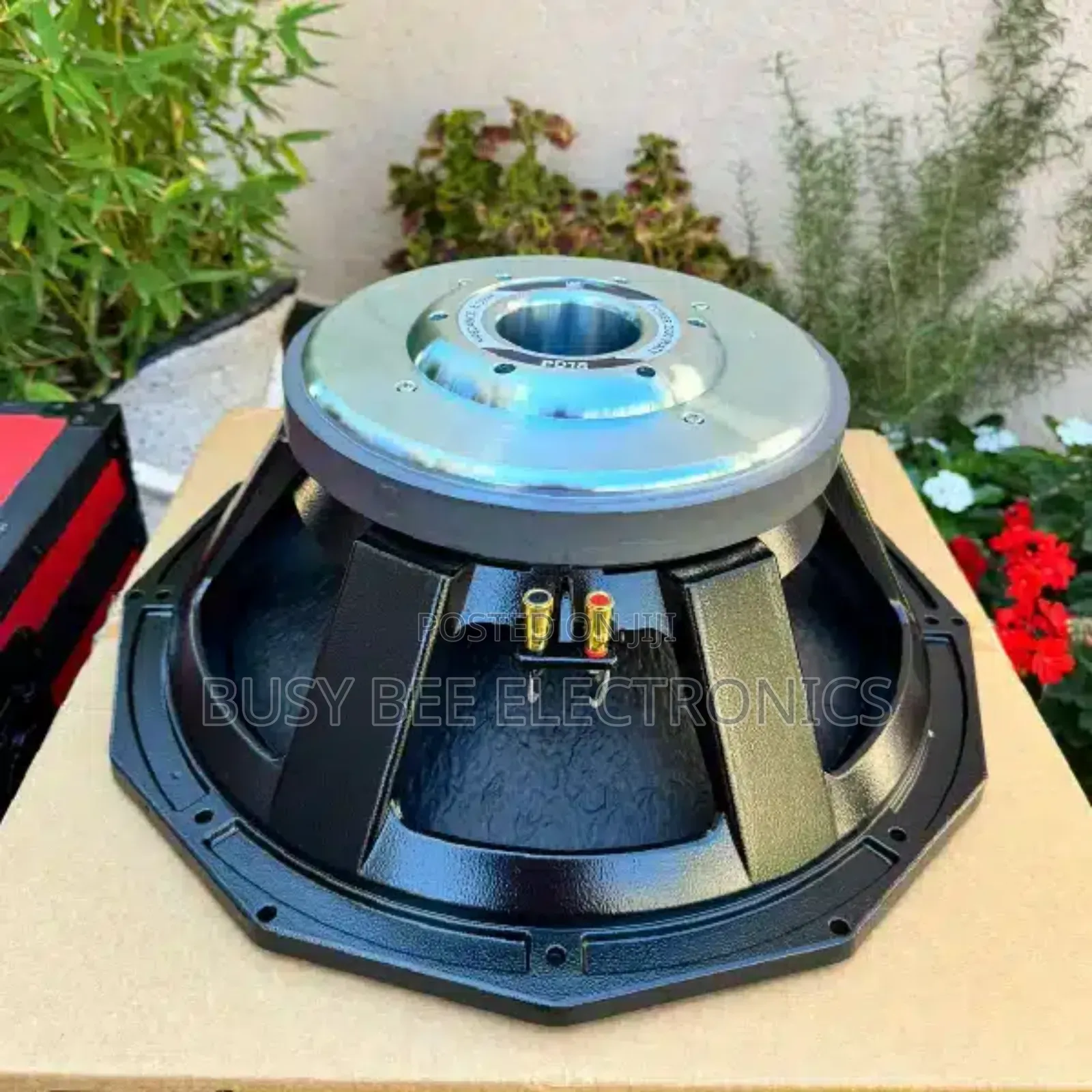 Bm Pd18 Naked Speaker