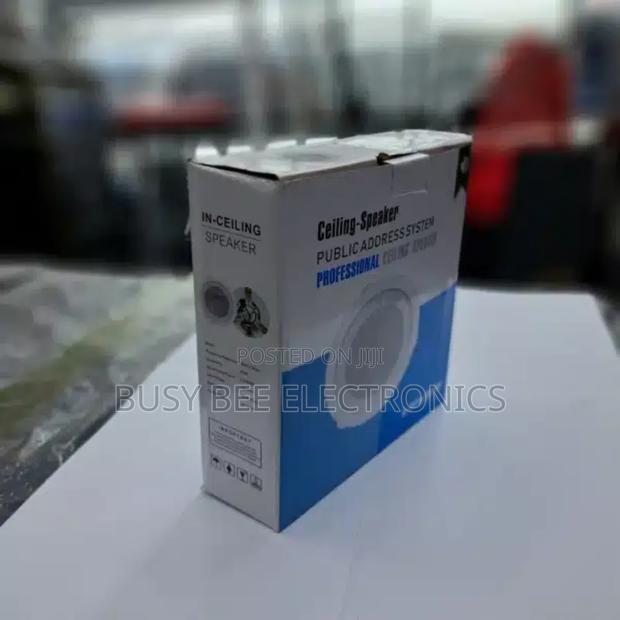 Philips Ceiling Speaker