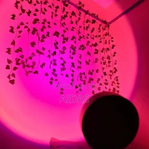 Sunset Lamps for Bedroom Decoaration