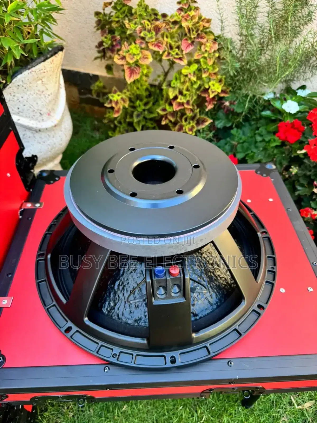 The Cfi18801 Naked Speaker