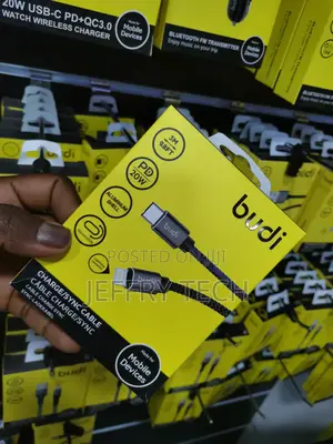 PD 65W 3M (9.8ft) Budi Type-C to TYPE-C Nylon Braided Cable