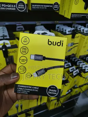 PD 65W 3M (9.8ft) Budi Type-C to TYPE-C Nylon Braided Cable