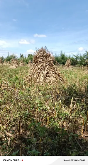 4.5acres in Eldoret UOE With Title