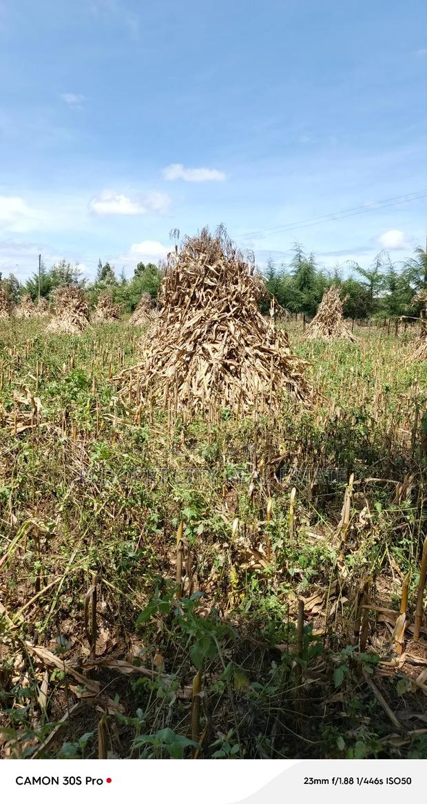 4.5acres in Eldoret UOE With Title