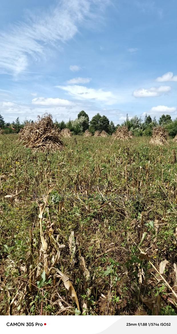 4.5acres in Eldoret UOE With Title - thumbnail 2