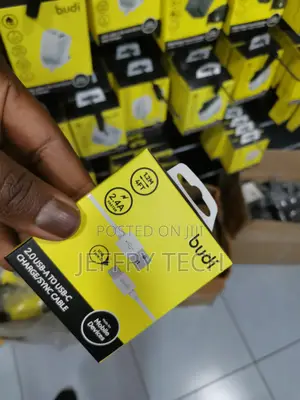 Budi 2.4A Micro Cable