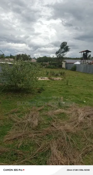 1/4 Plot Outspan Ideal for Residential With Title.