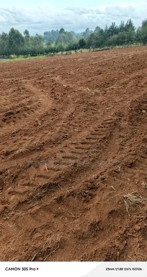 5 Acres Naiberi Ideal for Farming With Title