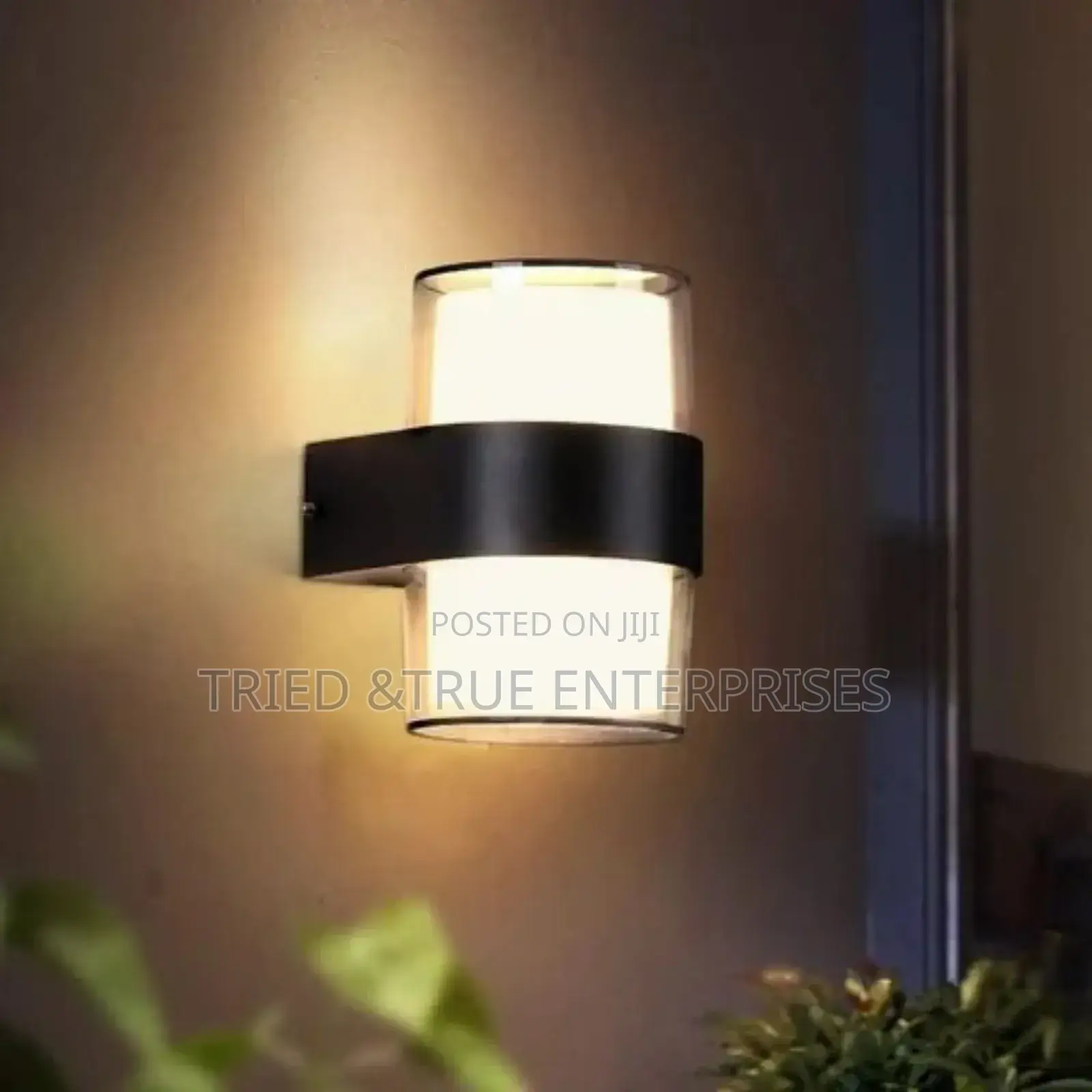 Circular LED Buttress Wall Brackets Light Wz3