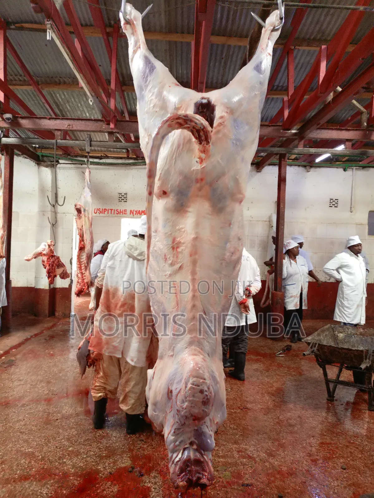 Beef, Stake, Mince Meat, Kichwa Ya Ng'ombe