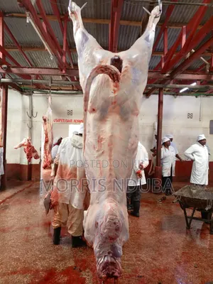 Beef, Stake, Mince Meat, Kichwa Ya Ng'ombe