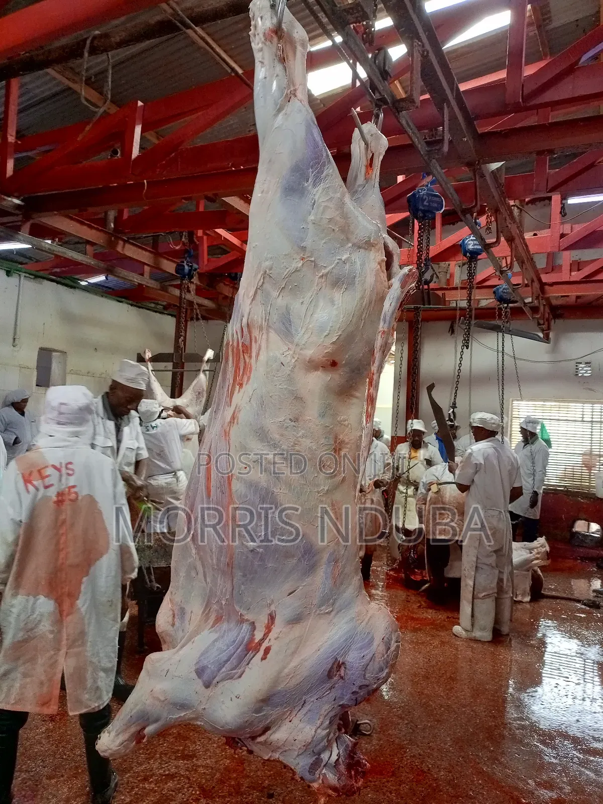 Beef, Stake, Mince Meat, Kichwa Ya Ng'ombe