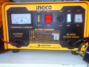 Ingco Battery Charger 12/24vdc