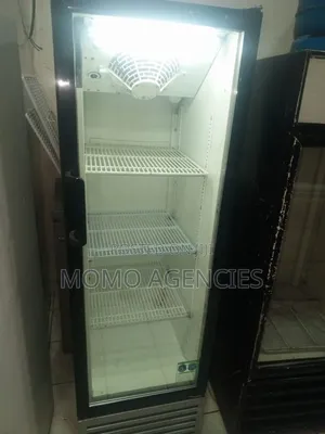 Shop Display Fridge 300l