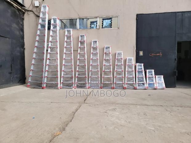 Dual Step Ladder - main view