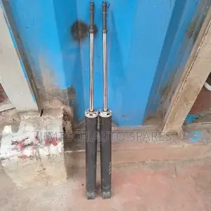 Nissan Latio Rear Shocks