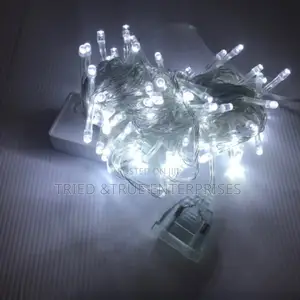 10mtrs Cold White Christmas Lights Yg4