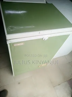 Mini Freezer 140L
