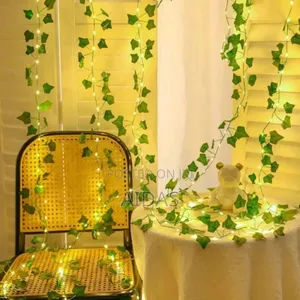 Beautiful Vine Strands For Home Decor
