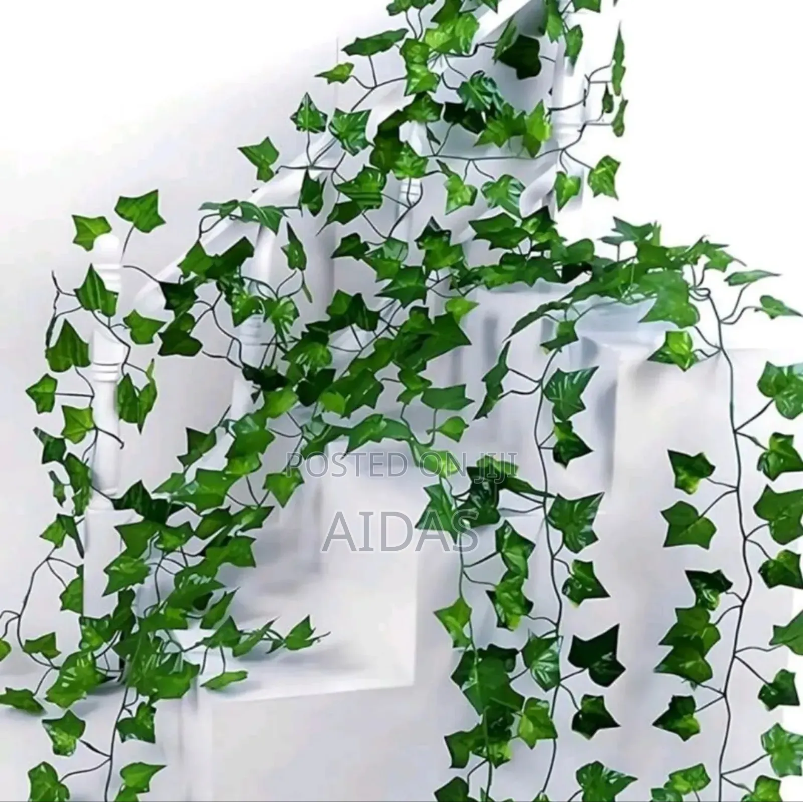 Beautiful Vine Strands For Home Decor
