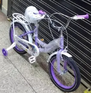 Lady Bike Size 16