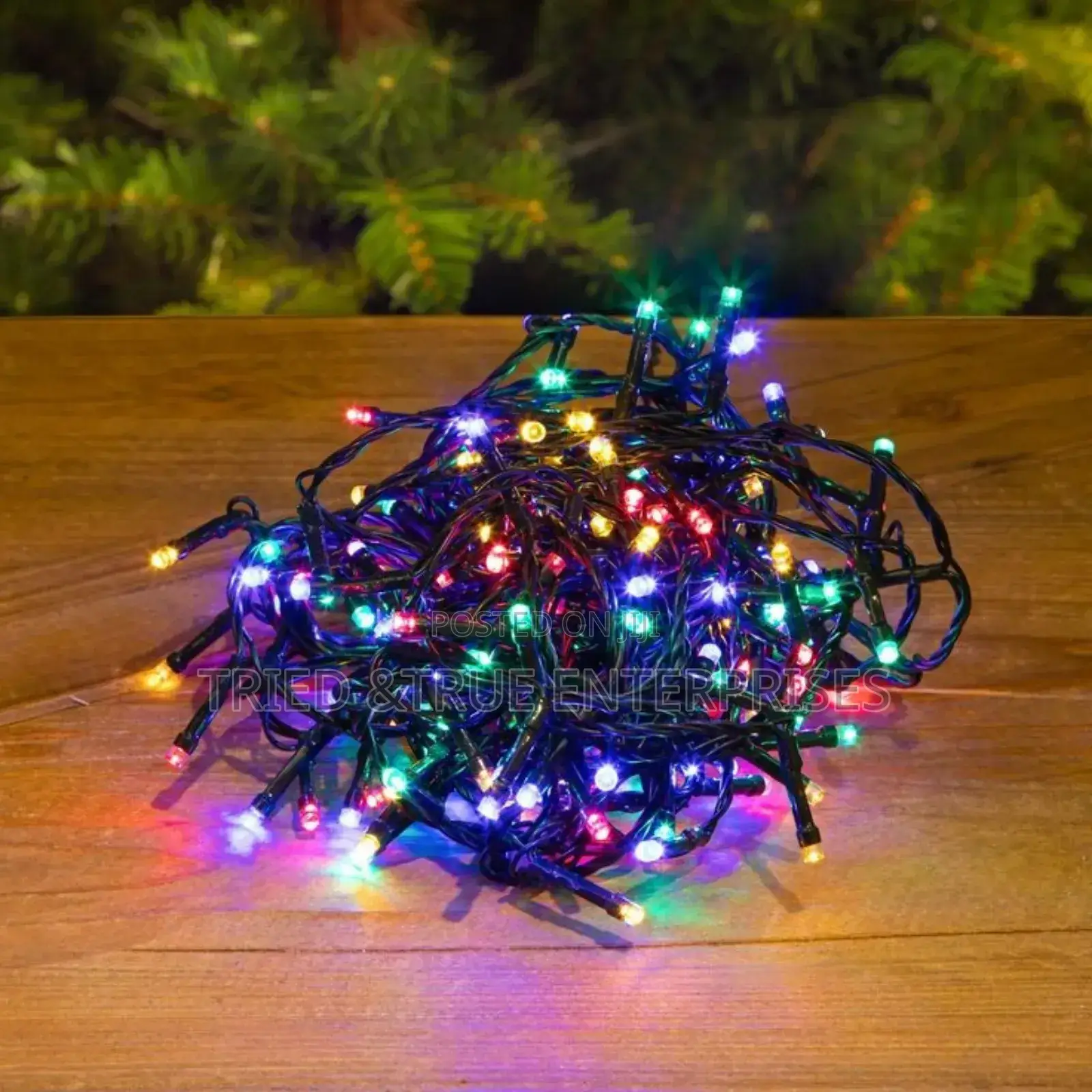 Vintage LED 10mtrs Christmas Light Fw2