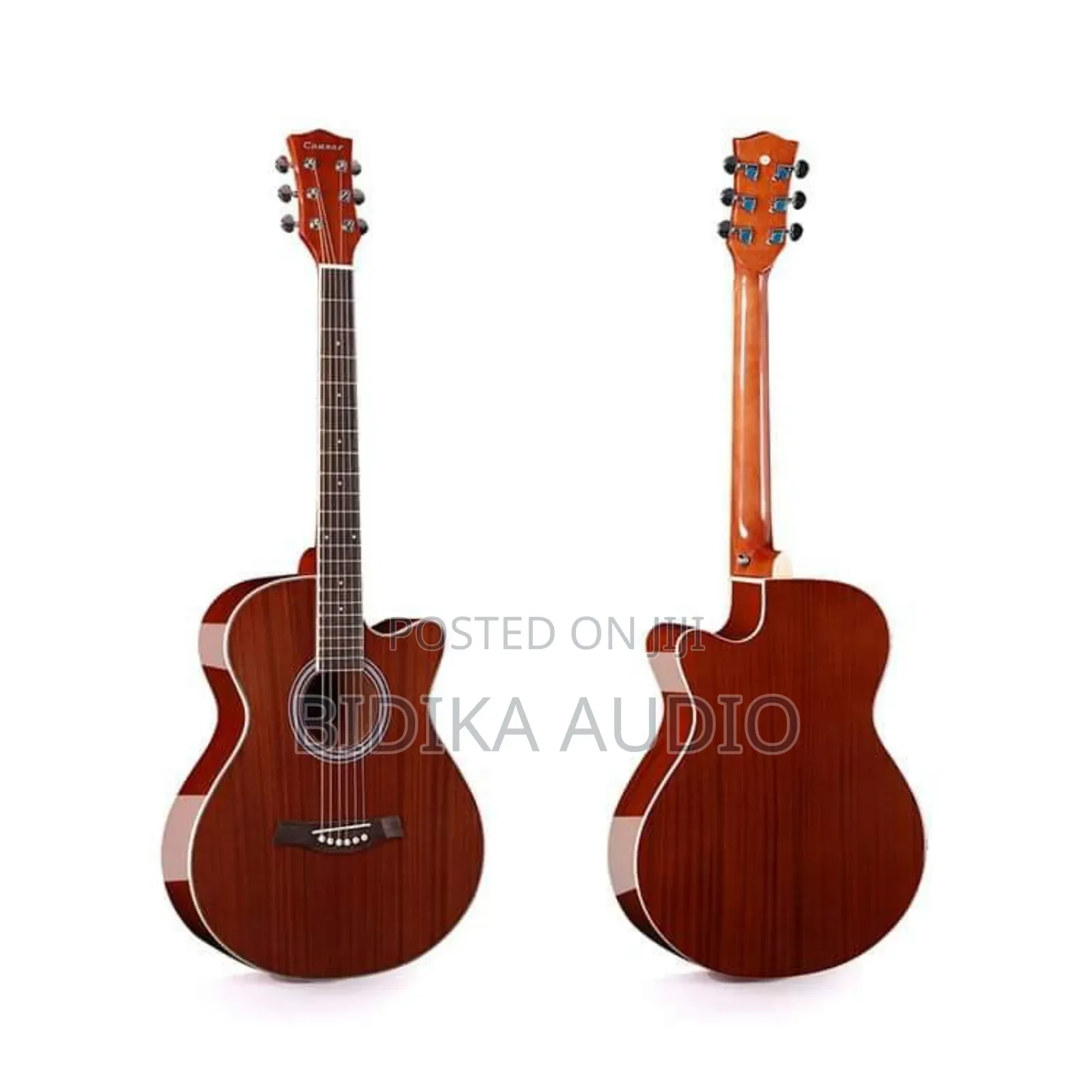 Acoustic Guitar Ibanez
