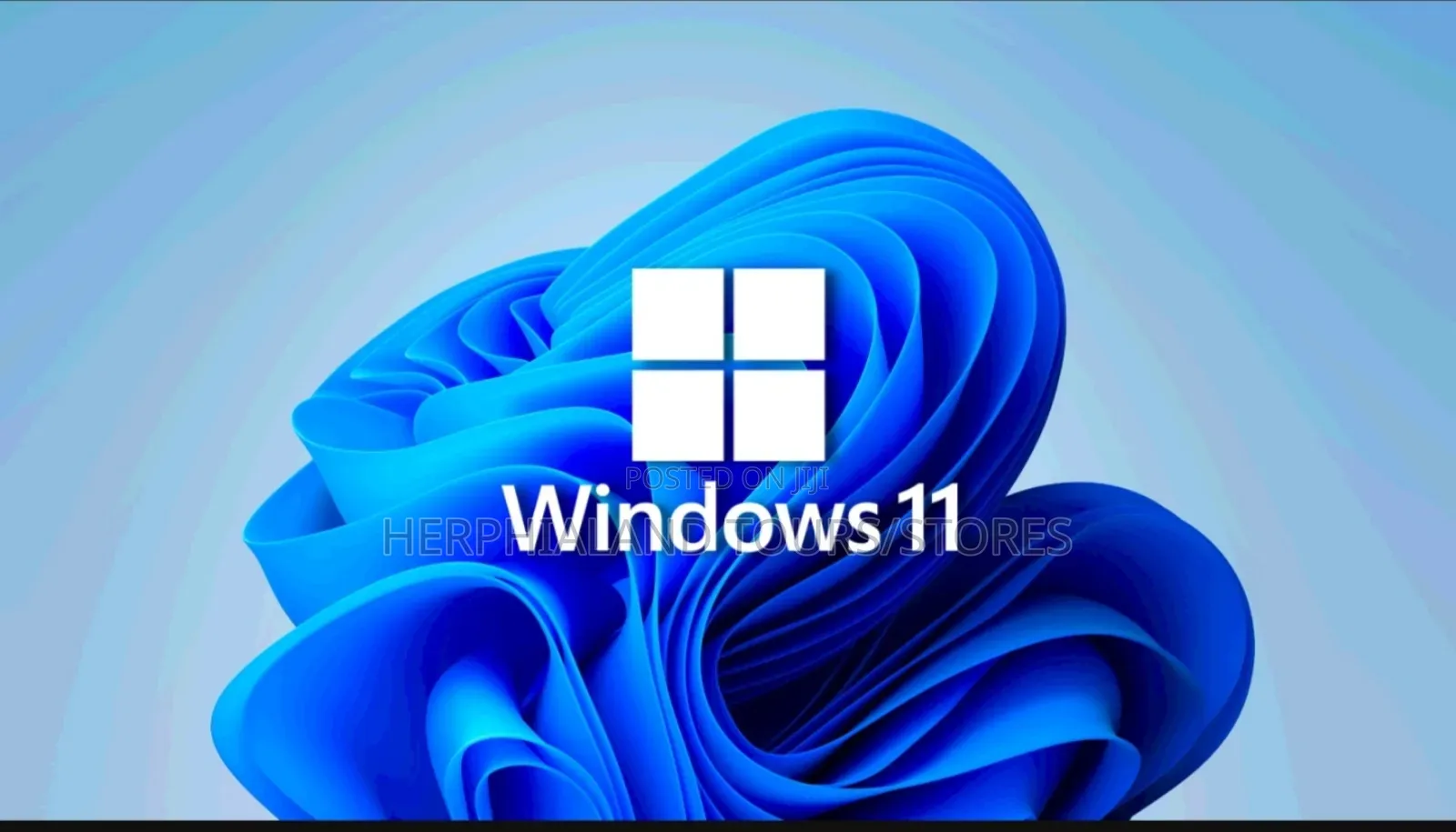 Windows 11 Pro Installation