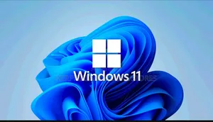 Windows 11 Pro Installation