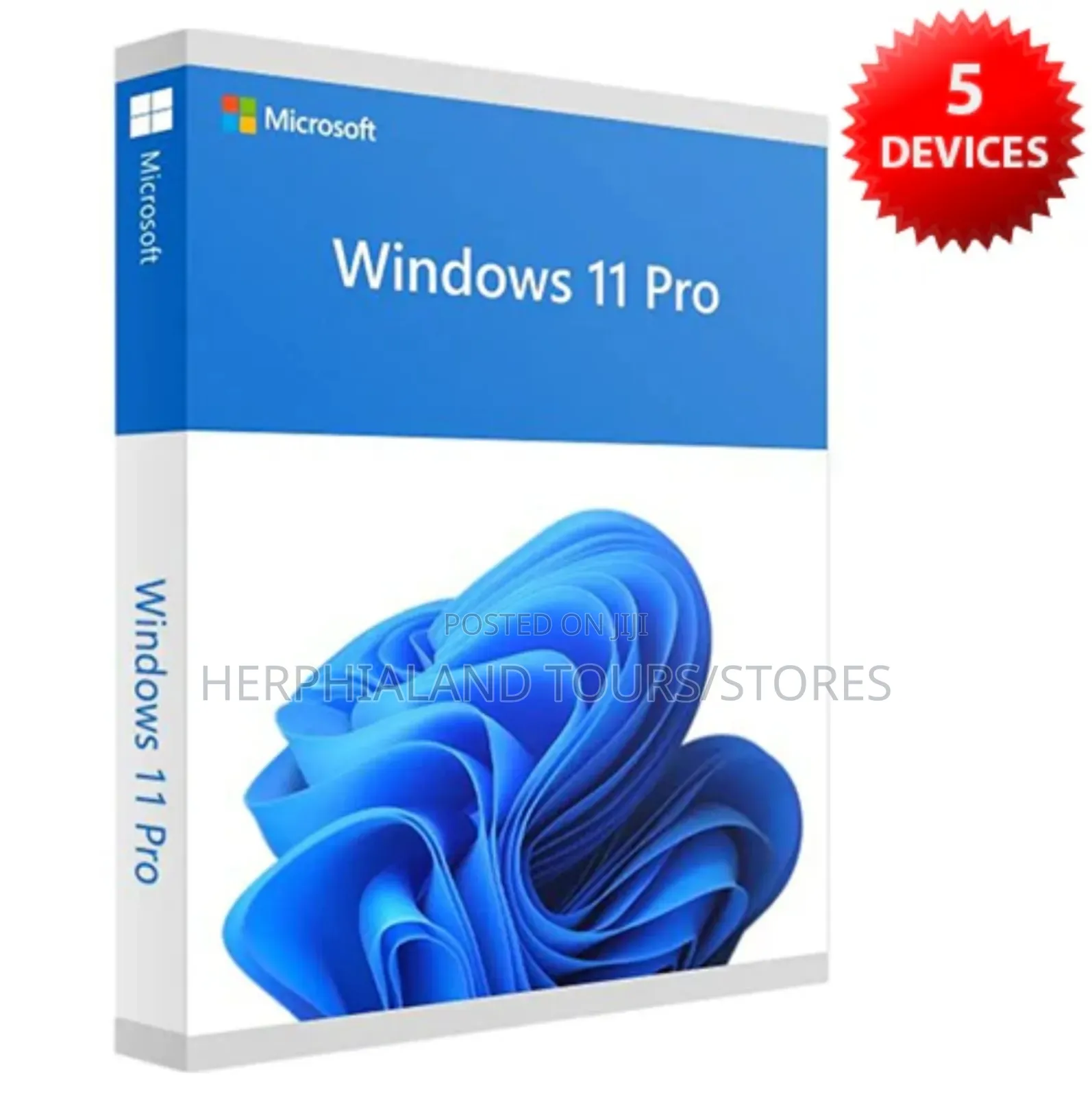 Windows 11 Pro Installation