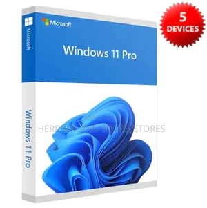 Windows 11 Pro Installation