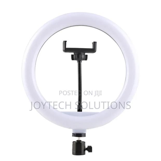 Blight 10inch Ring Light Led With a Stand