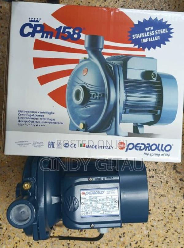 Powerful Original Pedrollo Cpm158 Water Pump
