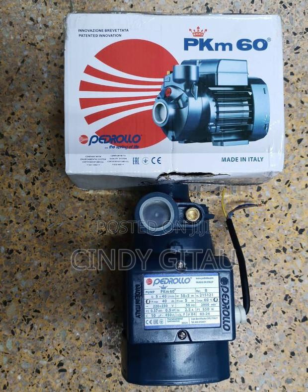 Powerful Original Pedrollo PKM 60 Water Pump
