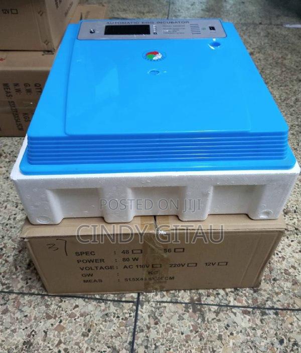 Quality 56 Eggs Automatic Incubators