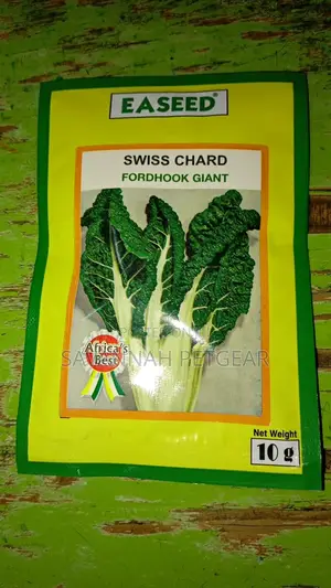 Swiss Chard Fordhook Giant Spinach Seeds - 10gm