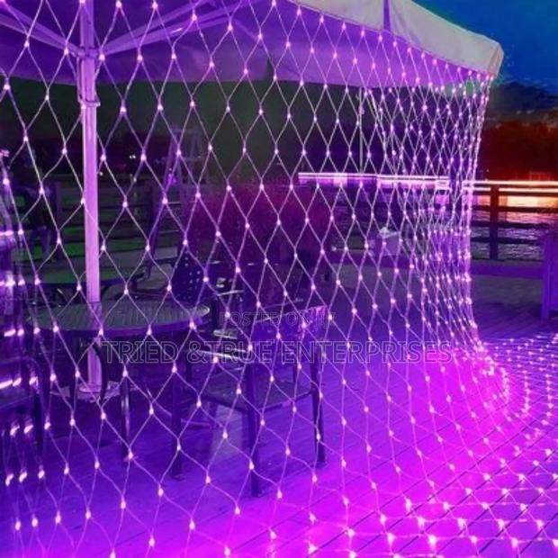 300 by 300 Net Mesh Christmas Lights 7yt - main view
